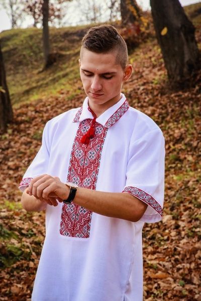 Вишиванка ручної роботи, чоловіча "Український вектор" (Арт. 00588) 00588 фото